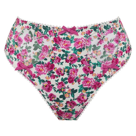 NWT For Love and Lemons 🍋 Heart Bloom High-Waist Cheeky Panty - Picture 5 of 5